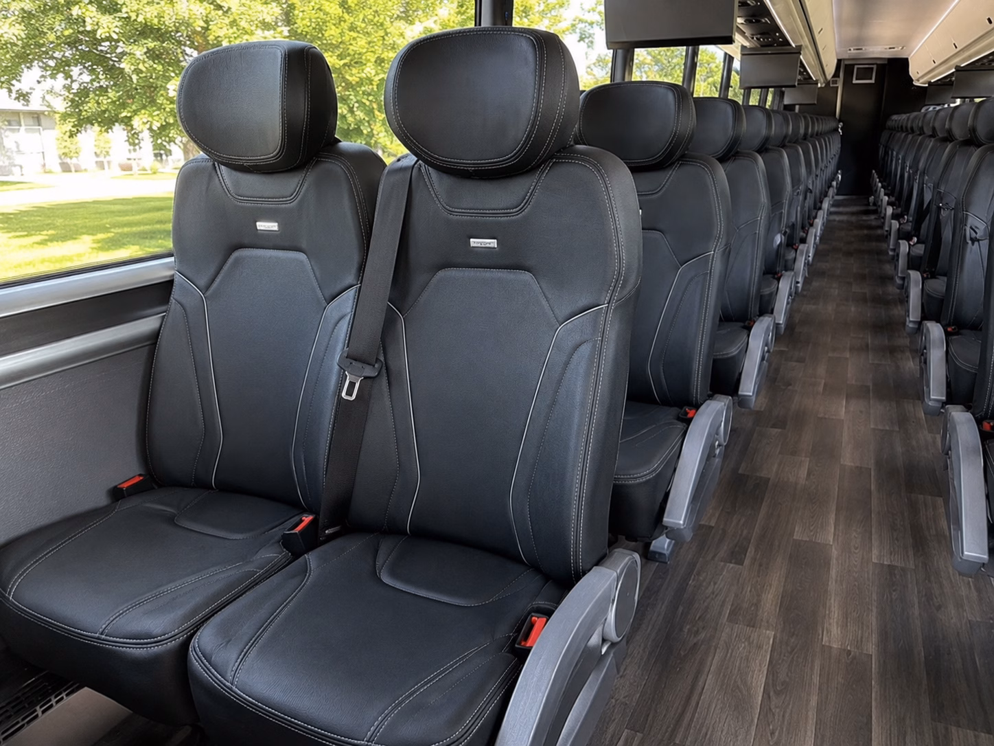 festival and big event transportation in rochester